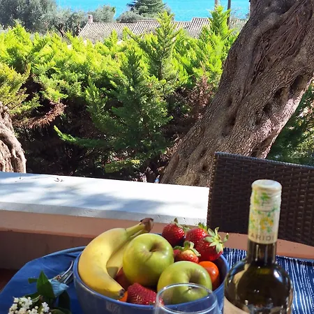 Alema Mare * 바바티